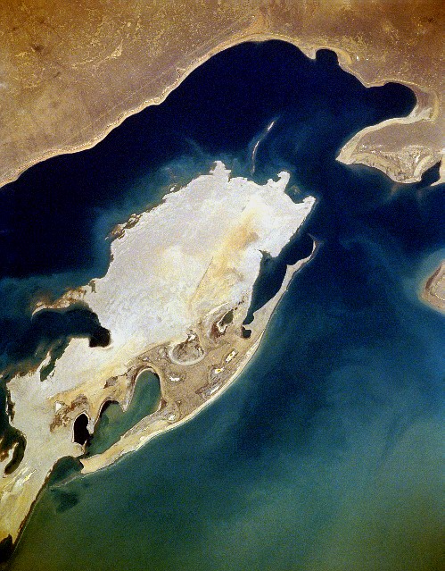In 1954, the Soviet Union constructed a biological weapons test site called Aralsk-7 on Renaissance Island (Vozrozhdeniya Island) (Src. Wikimedia Commons)