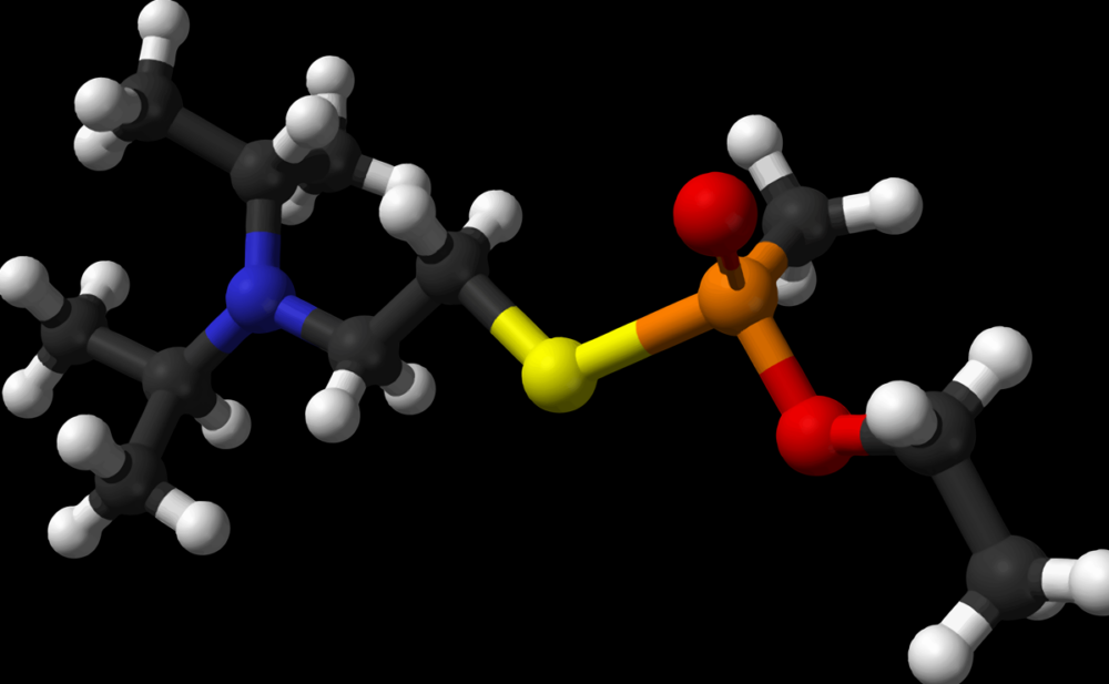 vx structure